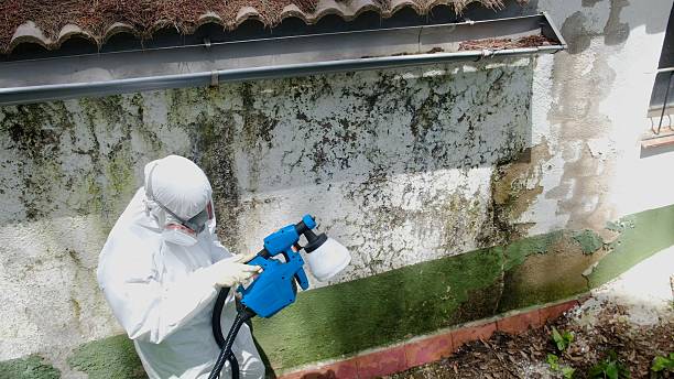 Top rated local Mold Remediation specialists in Sabillasville, MD